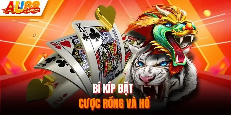 Bí kíp đặt cược rồng và hổ