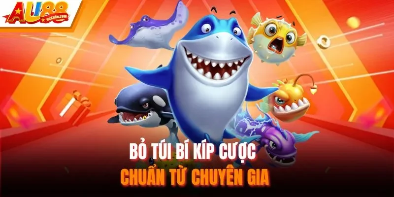 Bỏ túi bí kíp cược chuẩn từ chuyên gia