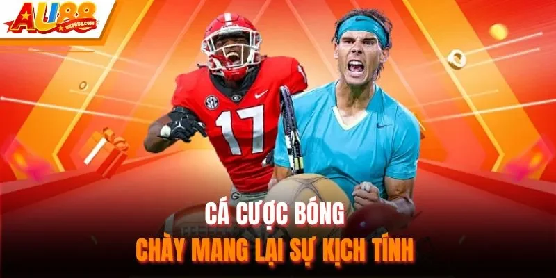 Cá cược bóng chày mang lại sự kịch tính