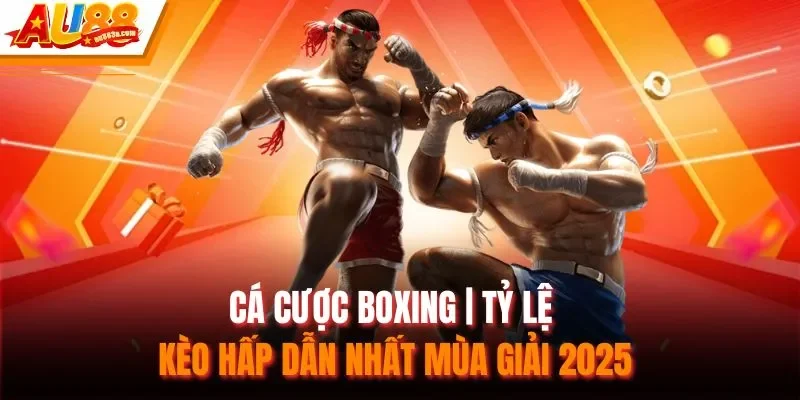 Cá Cược Boxing