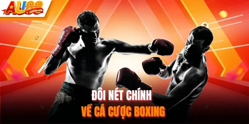 Đôi nét chính về cá cược boxing