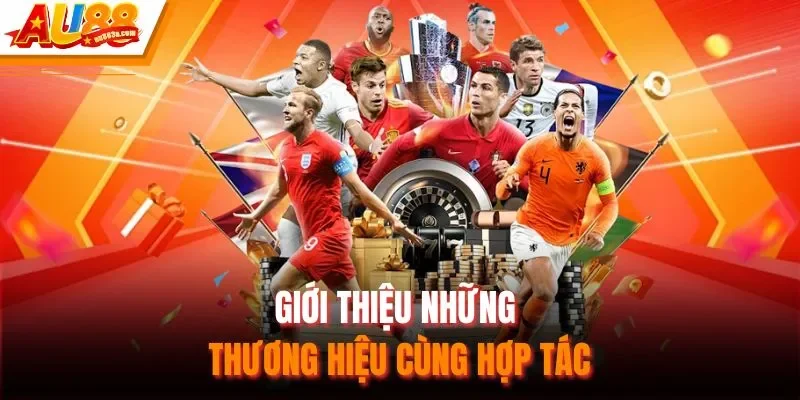 Giới thiệu những thương hiệu cùng hợp tác