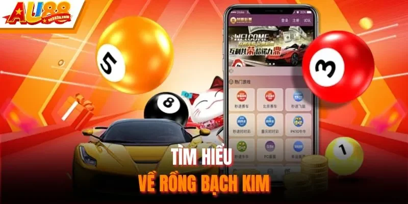Tìm hiểu về Rồng Bạch Kim